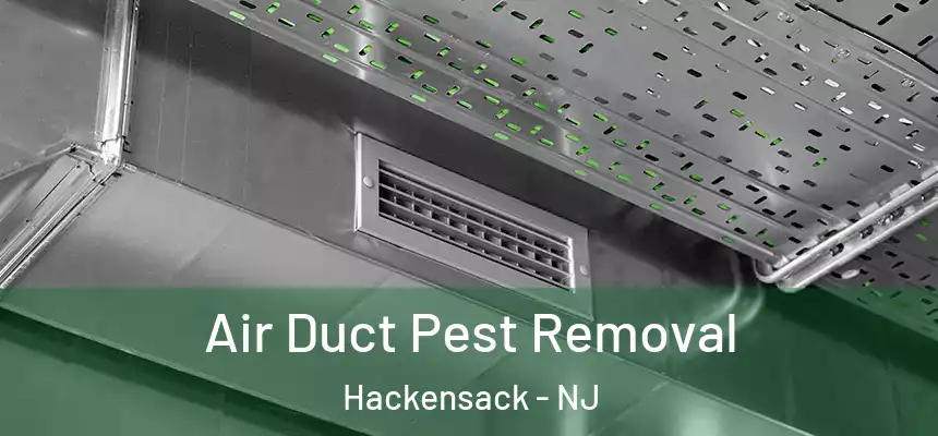  Air Duct Pest Removal Hackensack - NJ
