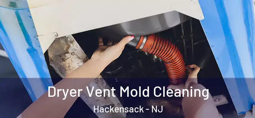 Dryer Vent Mold Cleaning Hackensack - NJ