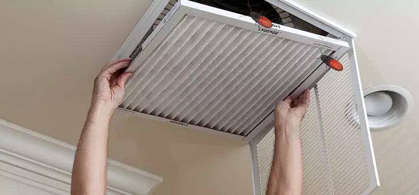 Preventive Cockroach-Proofing for Ducts in Hackensack