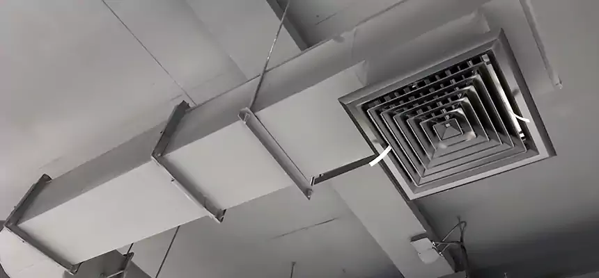 Our Pest Removal From Ducts Services in Hackensack, NJ