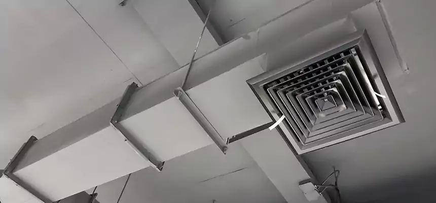 Our Rodent Droppings In Vents Services in Hackensack, NJ