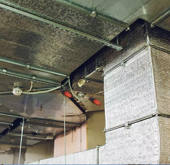 Why Homeowners & Businesses Trust Us in Hackensack, NJ?