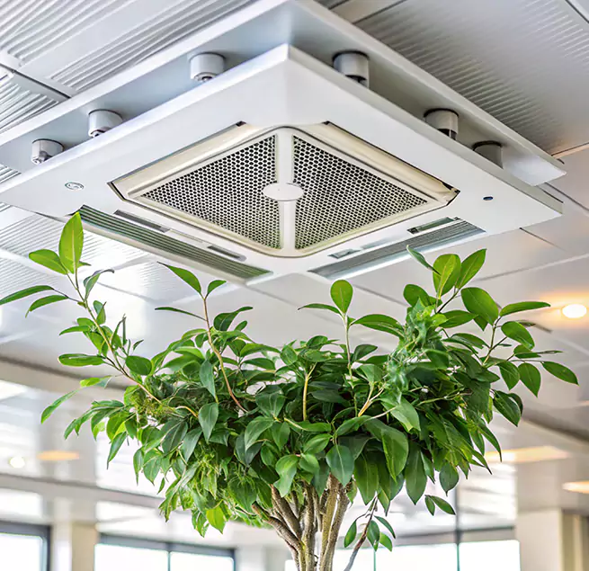 Why Homeowners & Businesses Trust Us in Hackensack, NJ?